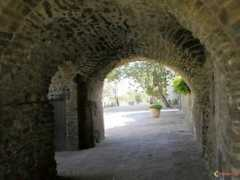 Monells