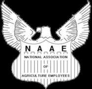 Naae