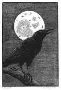 Nightcrow