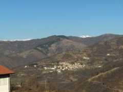 Noceto