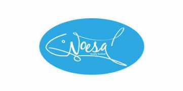 Noesa