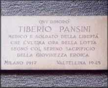 Pansini