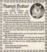 Peanutbutter