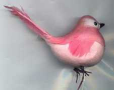 Pinkbird