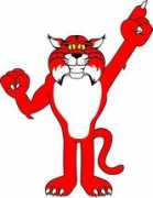 Redcat