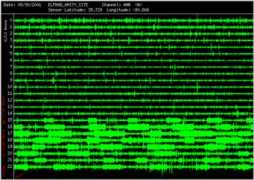 Rhic