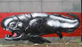 Roa