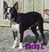 Rockyz