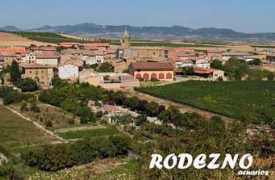 Rodezno