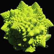 Romanescu