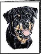 Rott