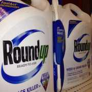 Roundup