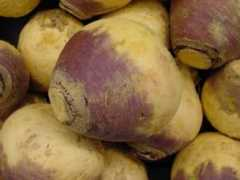 Rutabaga