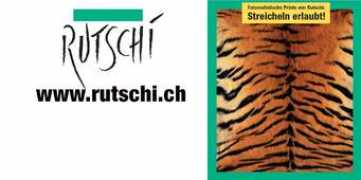 Rutschi