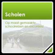 Scholen