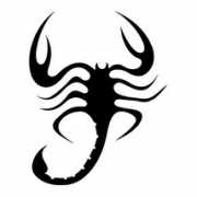 Scorpionn