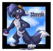 Shayde