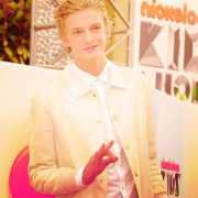 Simpsonizer