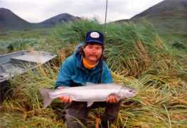 Steelhead