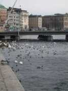 Sthlm