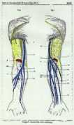 Stocquart