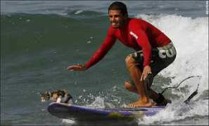 Surfero