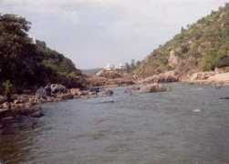 Surguja