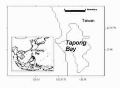 Tapong