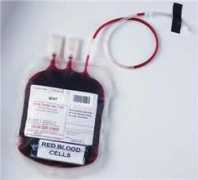 Transfusion