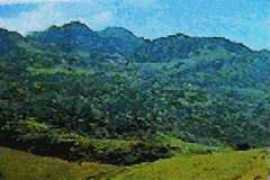 Vumba