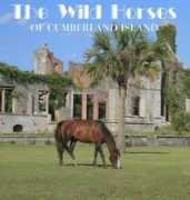 Wildhorses
