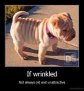 Wrinkled