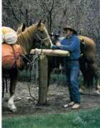 my.montana.net Aadland