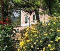 risorse-web.net Accini