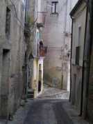 Accursi