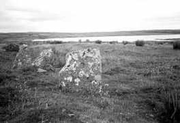 stonesofwonder.com Achavan