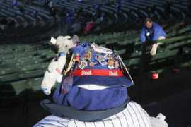 galleries.apps.chicagotribune.com Acheatel