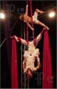 Acrobats