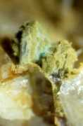 rbmineral.de Adamin