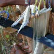 Adanu