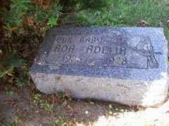 usgwarchives.net Adelir