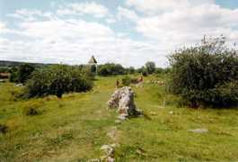Adelso