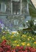 feathertales.com Adjus