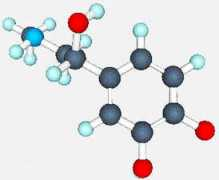 portalsaofrancisco.com.br Adrenalina