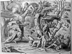 Aeacus