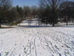 sledriding.com Affton