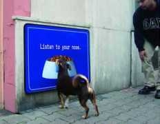 frederiksamuel.com Afinity