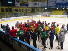 hokejreport.wbs.cz Afinogenova