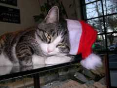 celestialpets.com Aghamalian