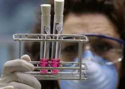 hunedoreanul.gandul.info Agresive